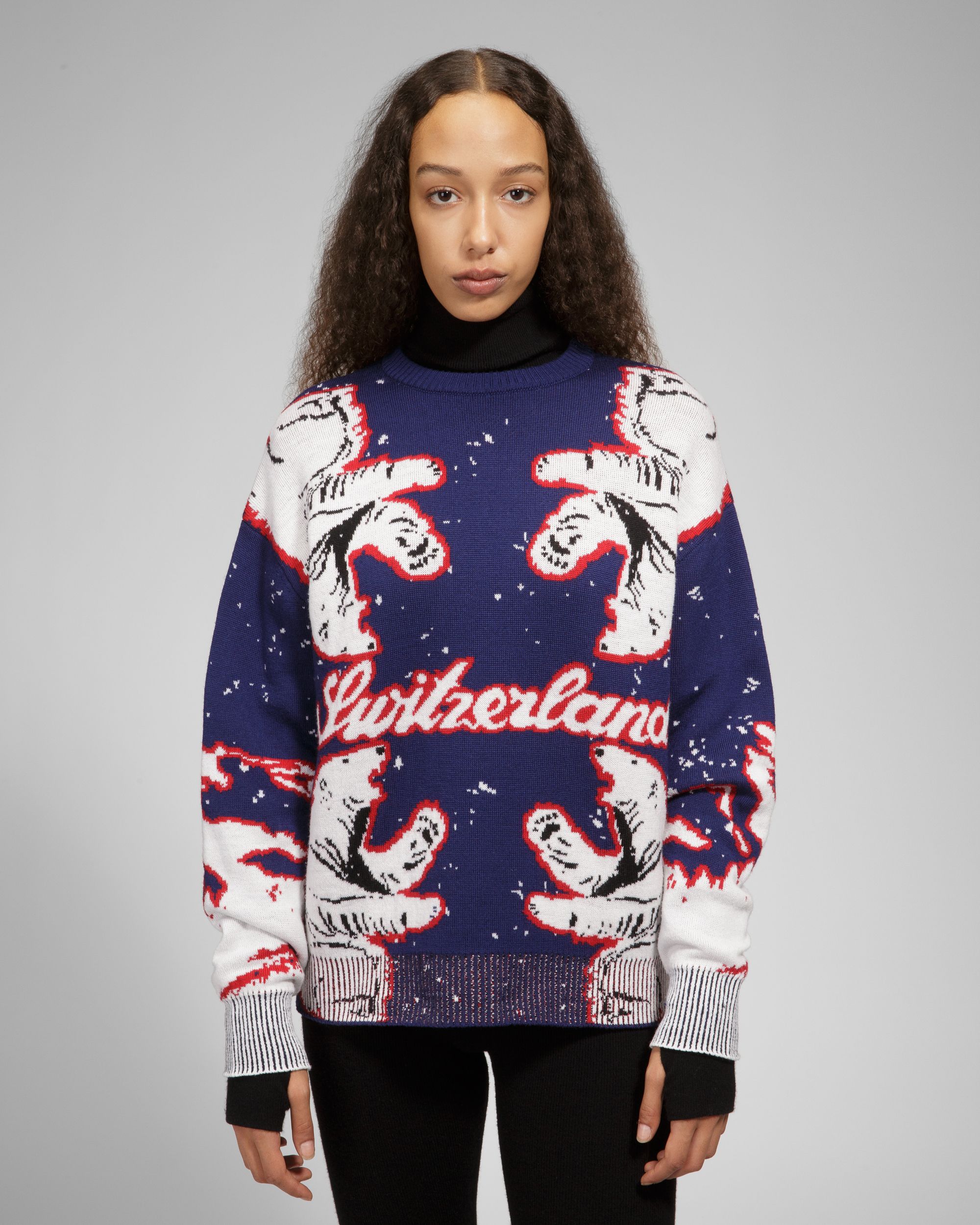 Maglione Bear - Uomo - Bally - 08