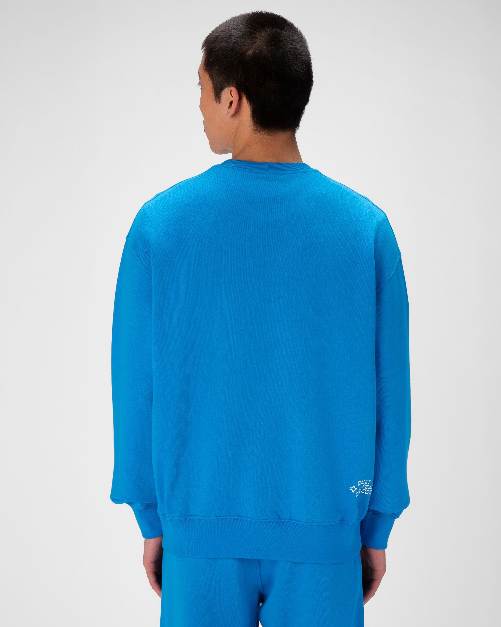 Felpa Girocollo Bally Peak Outlook In Cotone Organico Colore Blu - Uomo - Bally - 04